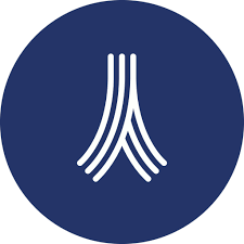 Paris School of Business logo