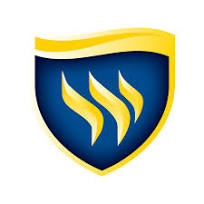 Texas Wesleyan University logo